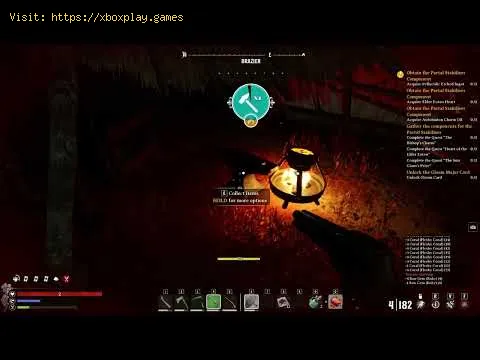 Video preview