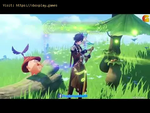Video preview