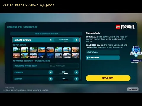 Video preview