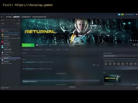 Video preview