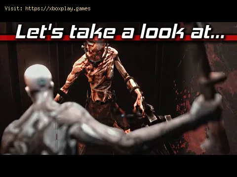 Video preview