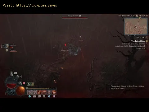 Video preview