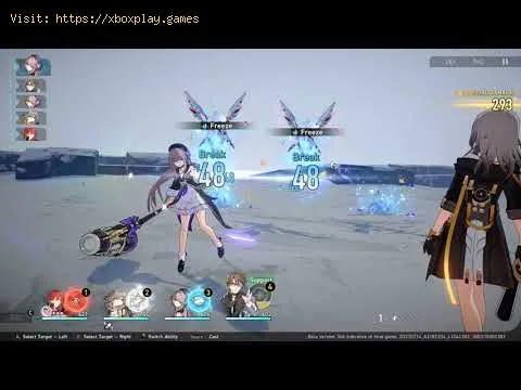 Video preview