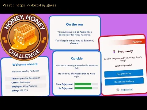 Video preview