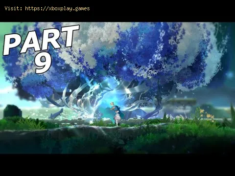 Video preview