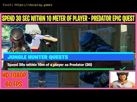 Video preview