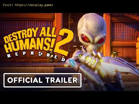 Video preview