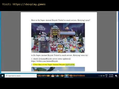 Video preview