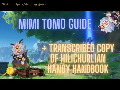 Video preview