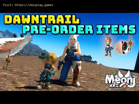 Video preview