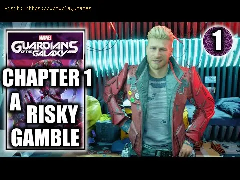 Video preview