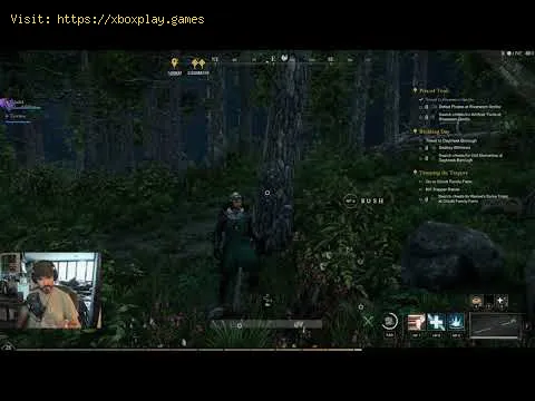 Video preview