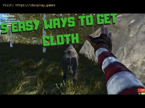Video preview