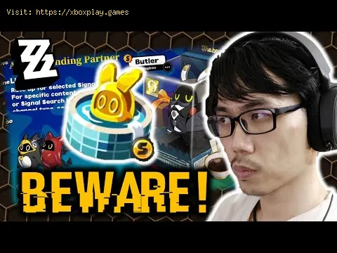 Video preview