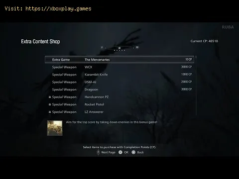 Video preview