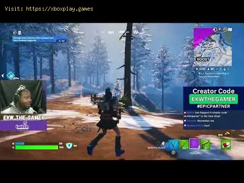 Video preview