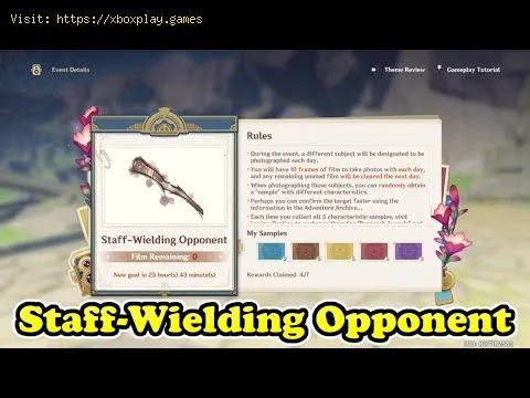 Video preview