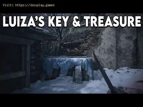 Video preview