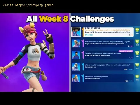 Video preview