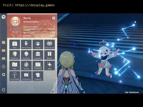Video preview