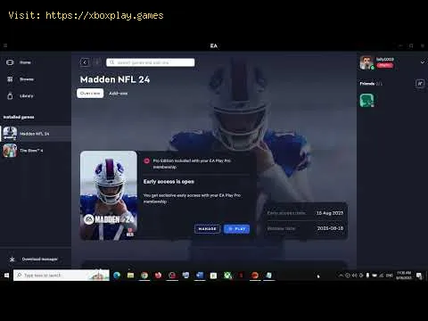 Video preview