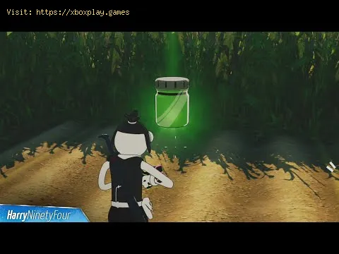 Video preview