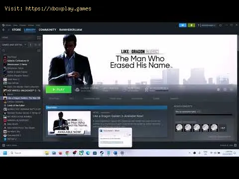 Video preview