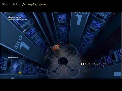Video preview
