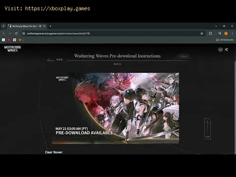 Video preview