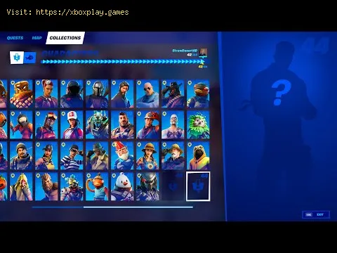 Video preview