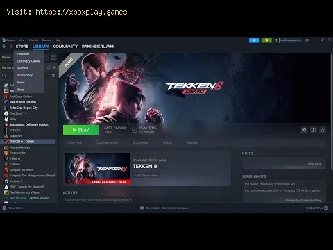 Video preview
