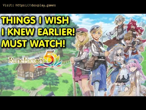 Video preview