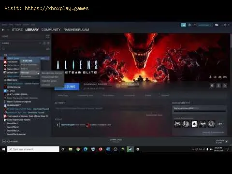 Video preview