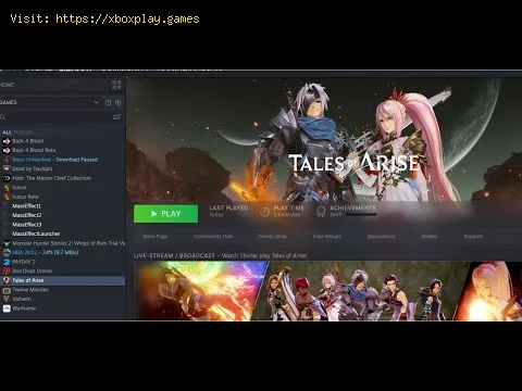 Video preview