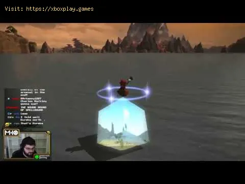 Video preview