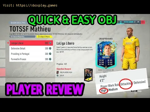 Video preview