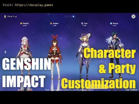 Video preview