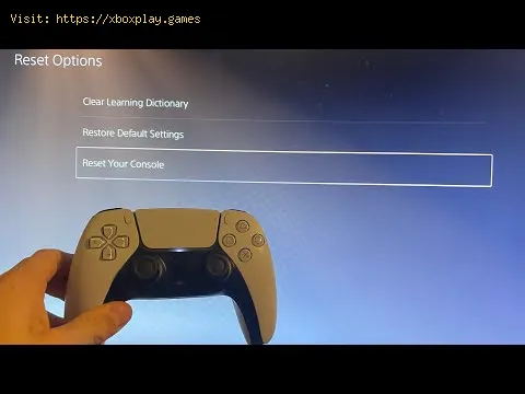 Video preview
