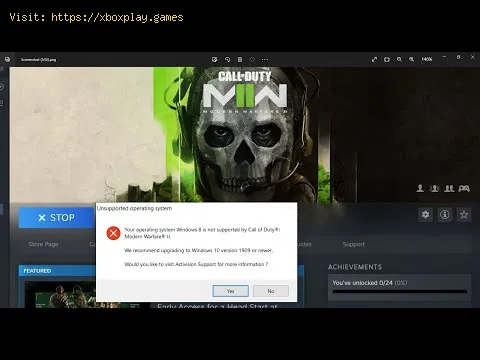 Video preview