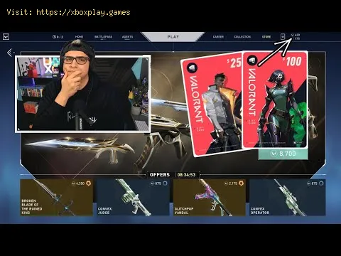 Video preview