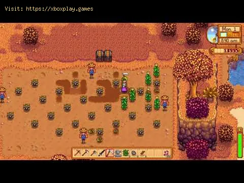 Video preview