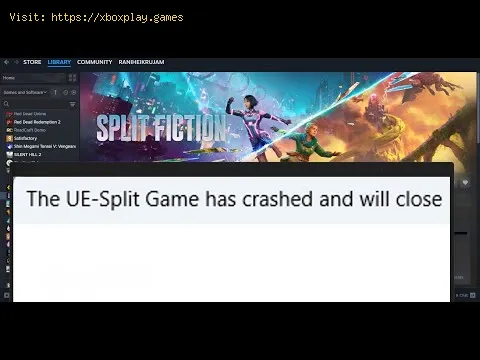 Video preview