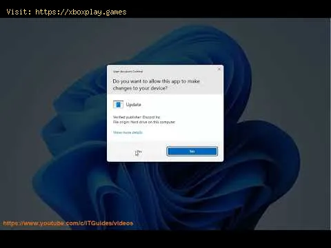 Video preview