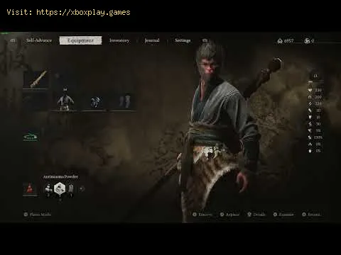Video preview