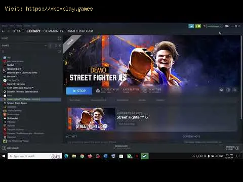 Video preview