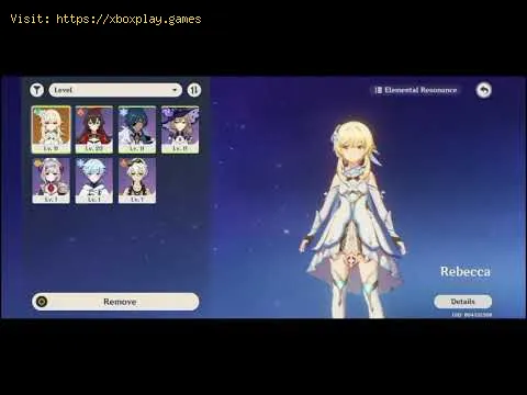 Video preview