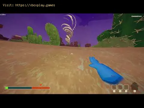 Video preview