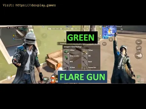 Video preview
