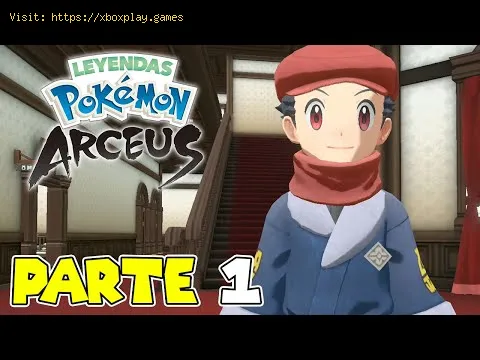 Video preview