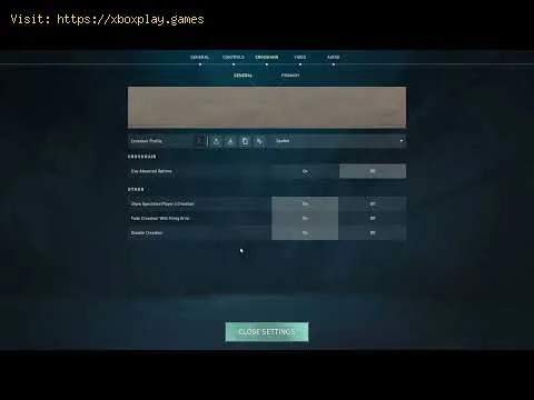 Video preview